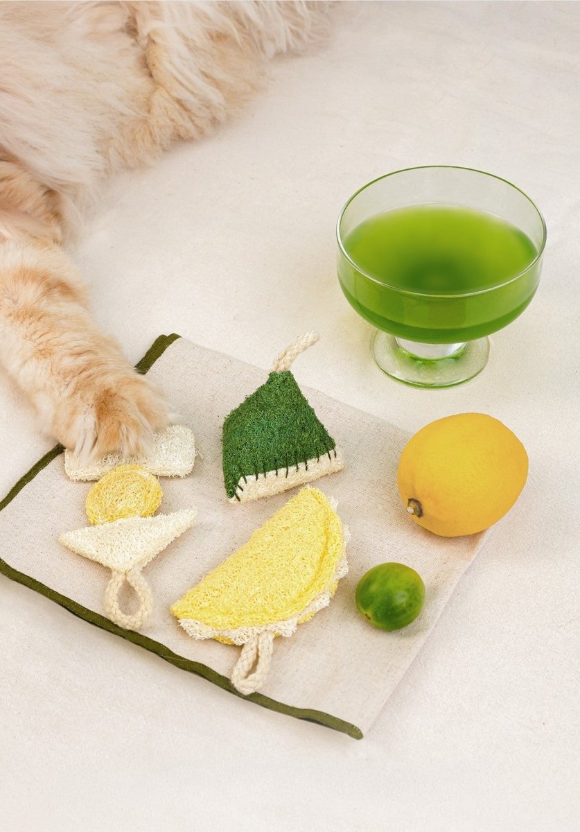 Natural Loofah Catnip Cat Toy Food Series