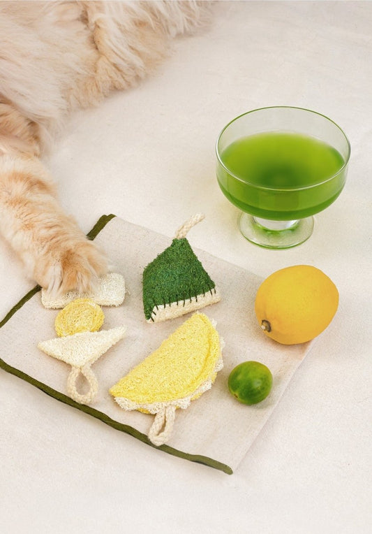 Natural Loofah Catnip Cat Toy Food Series
